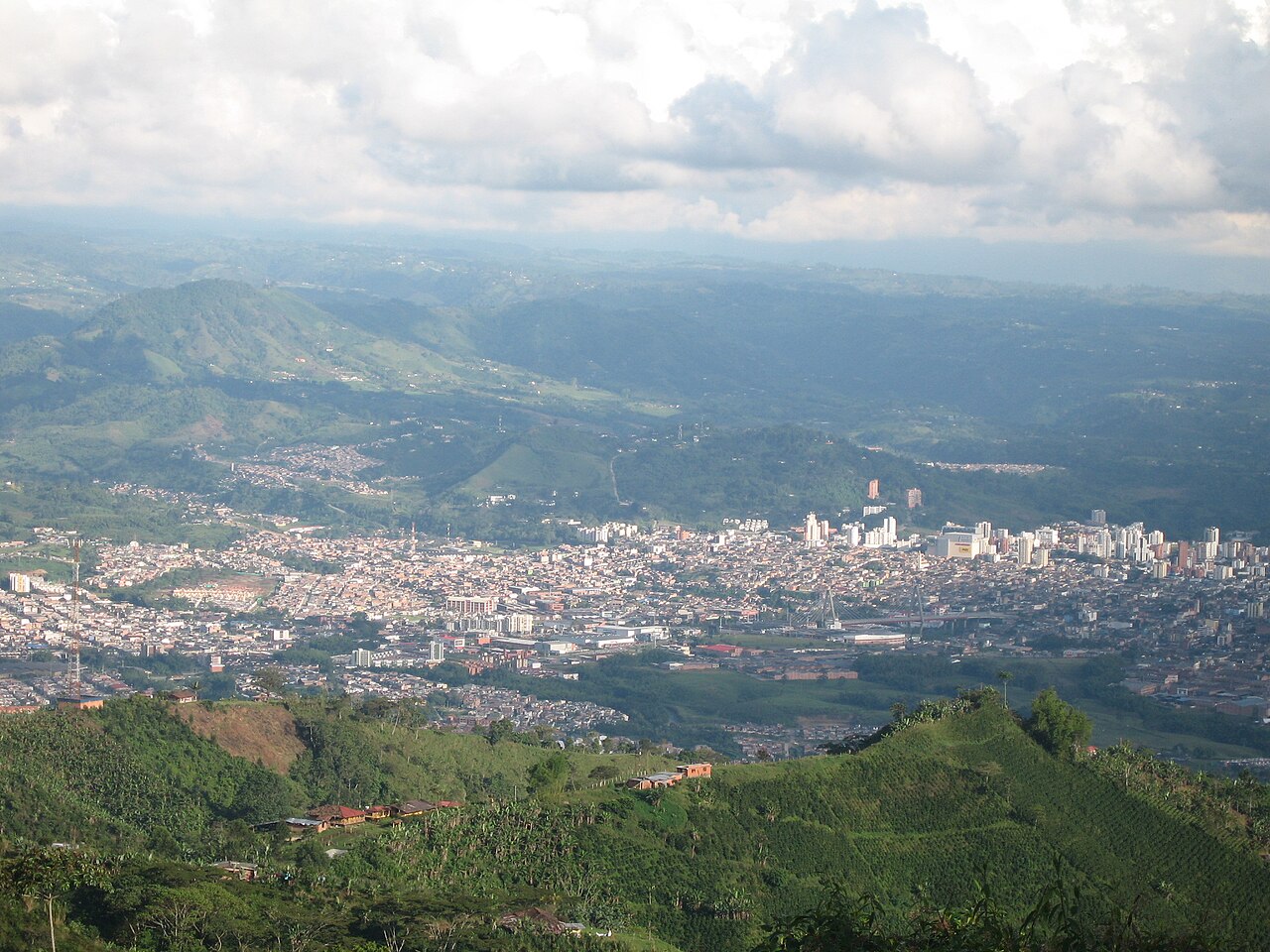 Pereira