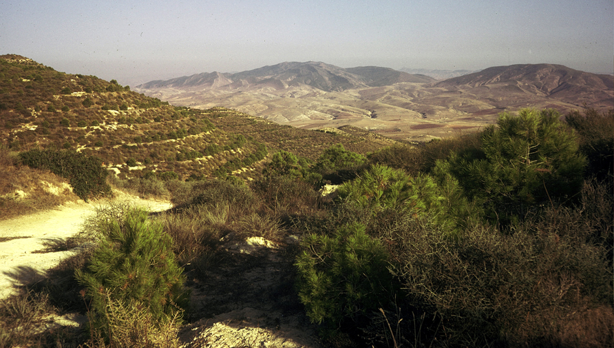 Beni-Chougrane