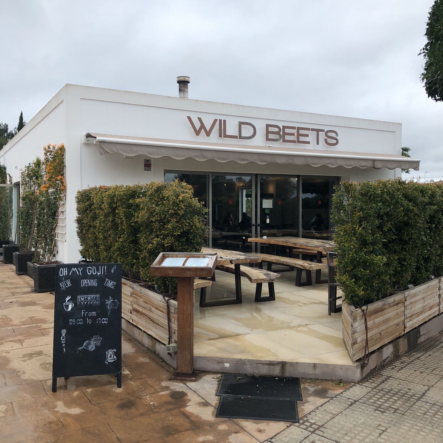 Wild Beets